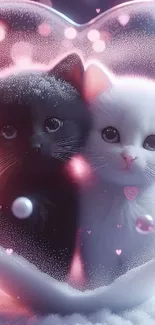 Black and white kittens in a heart-shaped glow, creating a cute wallpaper.