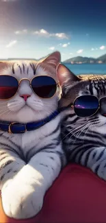 Two cats wearing sunglasses on a sunny beach day.