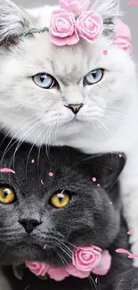 Two cute cats wearing flower crowns, one gray and one white.