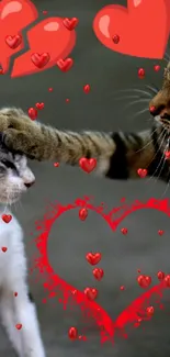 Playful cats with red heart emojis on gray background.