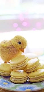 Fluffy chick with yellow macarons on a decorative plate.