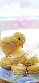 Adorable chick with yellow macarons on a colorful plate, set against a soft background.