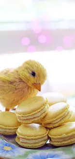 Fluffy toy chick with lemon macarons on a plate.