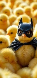 Chick in Batman costume among yellow chicks.