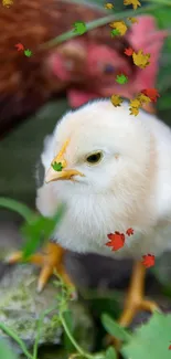 Adorable fluffy chick with green leaves background wallpaper.