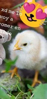 Cute chick and teddy bear with emoji on mobile wallpaper.