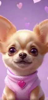 Chihuahua puppy with purple and pink hearts wallpaper.