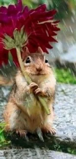 Chipmunk holding a flower as an umbrella during rainfall.