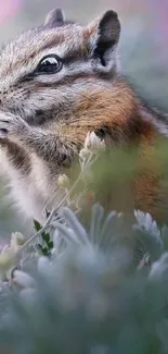 Chipmunk in soft focus nature with pastel colors.