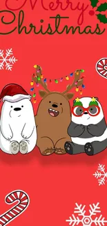 Cute bears in holiday attire on red Christmas background.