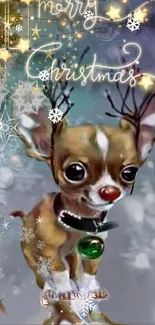 Cute Chihuahua with antlers in festive Christmas setting.