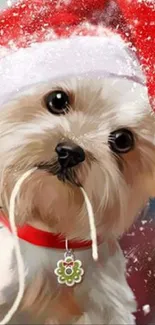 Yorkie puppy in Santa hat with Christmas decor.