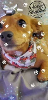 Adorable puppy with Christmas bow and snowflakes on a cozy blanket.