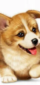 A cute brown and white corgi puppy with a playful expression on a white background.