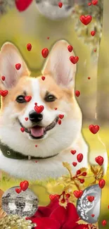 Corgi with red hearts mobile wallpaper.