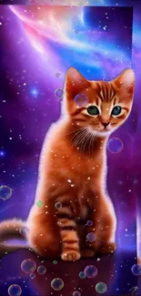 Cute cat in a cosmic galaxy with bubbles.