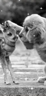 Black and white wallpaper of a puppy with a deer.