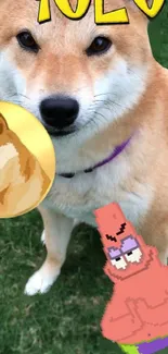 Cute Shiba Inu with cartoon design and YOLO text.