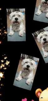 Adorable dog and star mobile wallpaper with cartoon elements.