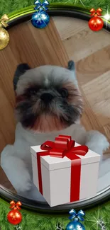 Cute dog with gift box in Christmas-themed wallpaper surrounded by decorations.