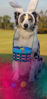 Dog wearing bunny ears with Easter basket on grass.