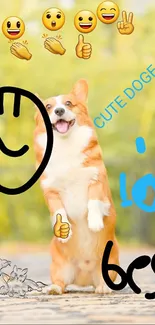 Cute corgi with playful emojis in lively wallpaper.