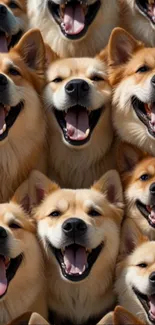 Cute dog faces smiling in a repeating pattern wallpaper design.