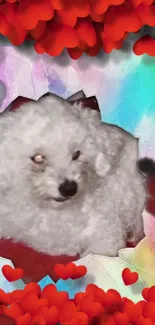 Fluffy white dog with red hearts background.