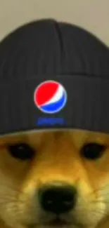 Cute dog wearing a Pepsi hat, perfect for mobile wallpaper.