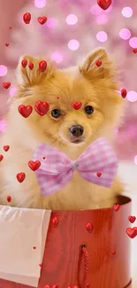 Cute fluffy dog with pink bow surrounded by red hearts.