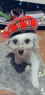 Cute dog in glasses and a red plaid hat on a cozy rug.