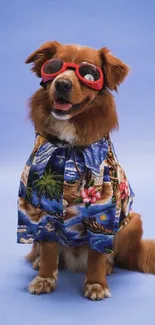 Cute dog in Hawaiian shirt and sunglasses on blue background.