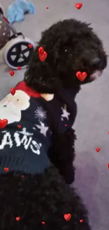 Dog in festive sweater sitting on the floor.