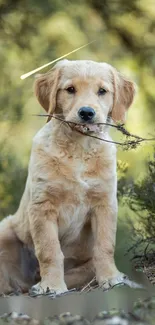 Adorable golden retriever puppy in a peaceful forest setting.