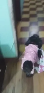 Black dog in pink sweater on checkered floor.