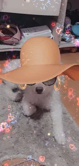 Cute dog in a fashionable hat with sunglasses on a cozy carpet.