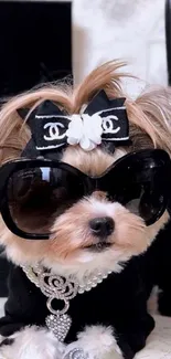 Cute dog wearing sunglasses and accessories in stylish wallpaper.