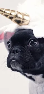 Black dog in unicorn costume sitting on a stool.