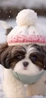 Cute dog wearing a winter hat in the snow.