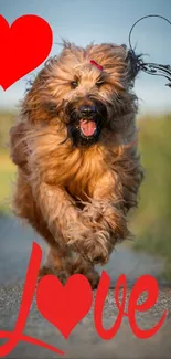 Cute dog running on a path with hearts.