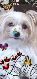 Adorable dog wallpaper with hearts and butterflies theme.