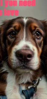 Cute dog with a love message on wallpaper.