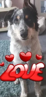 Adorable dog with heart-themed 'LOVE' text on a cozy backdrop.