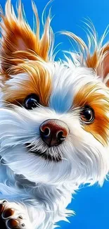 Cute fluffy dog on a blue background looking playful.