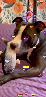 Adorable black and white dog on lilac couch with colorful hearts and symbols.