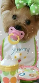 Cute dog with pacifier and bow tie, perfect for phone wallpaper