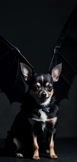 Cute dog with bat wings on a dark background.