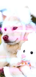 Cute dog with bunny ears in a field.