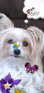 Cute dog on sofa with butterflies and flowers.