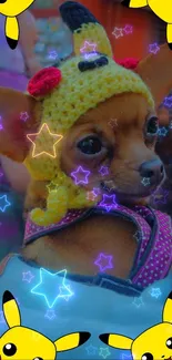 Cute dog in yellow hat with stars and cartoon theme.